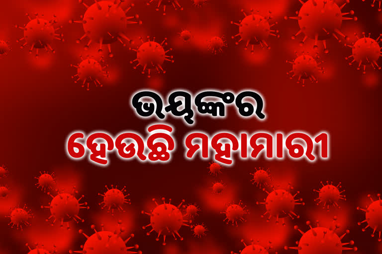 ଦିନକରେ6073ଜଣ ନୂଆ ପଜିଟିଭ