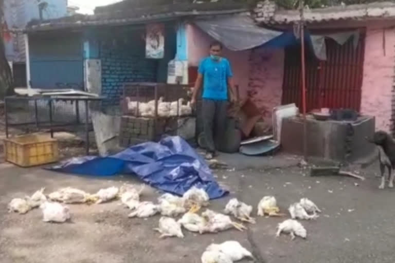 hens thrown for not giving extortion money to home guard jawans in dhanbad