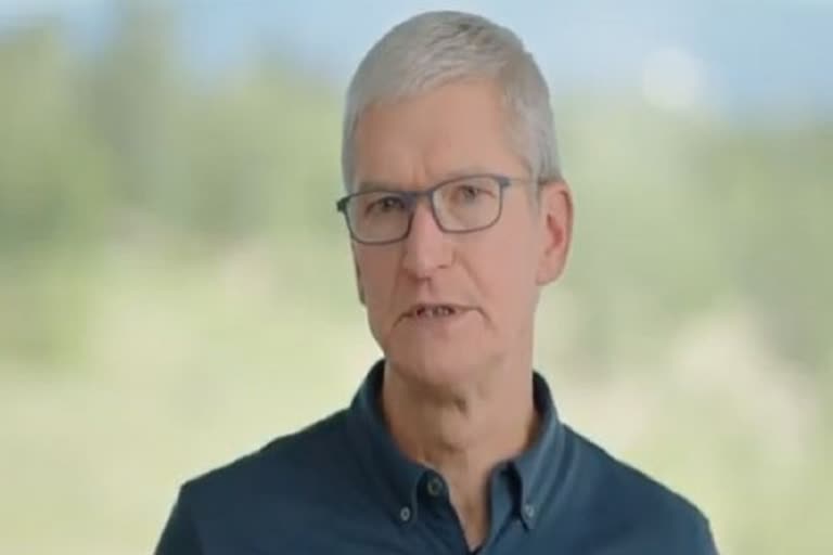 Tim cook Apple CEO