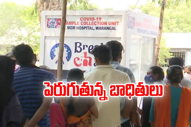 Corona cases spreading,  warangal district corona cases