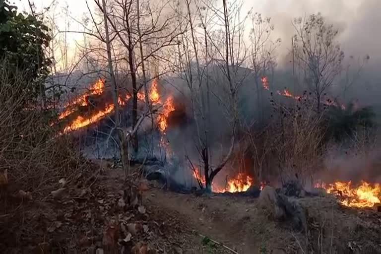 fire in Banswara forest, Panther movement area in Banswara