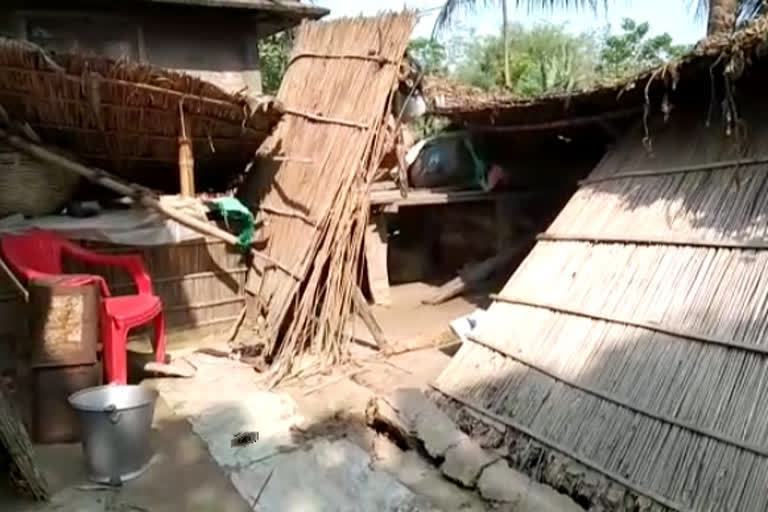 ৰূপহীহাটত বনৰীয়া হাতীৰ তাণ্ডৱ