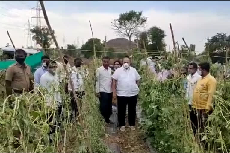 Kagal taluka has been hit hard by hailstorms along with unseasonal rains