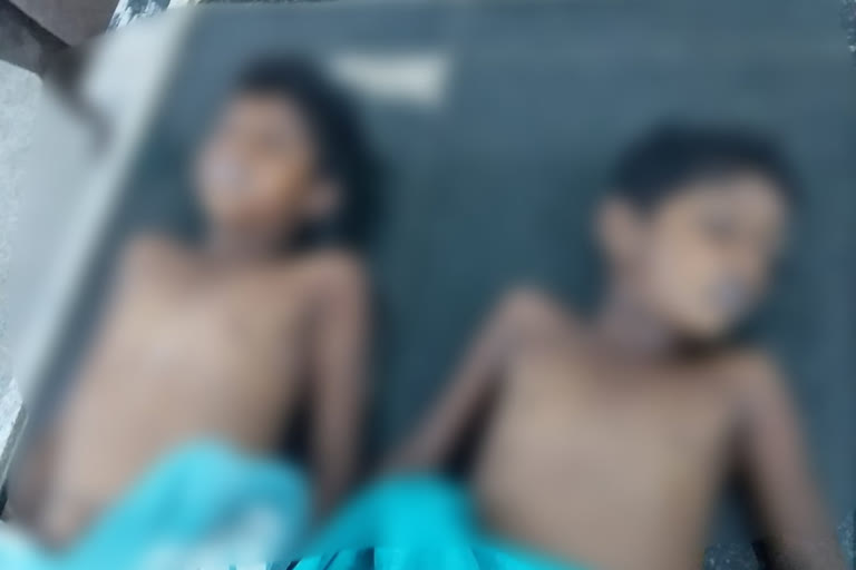 Two boys drown in Hosanagara lake