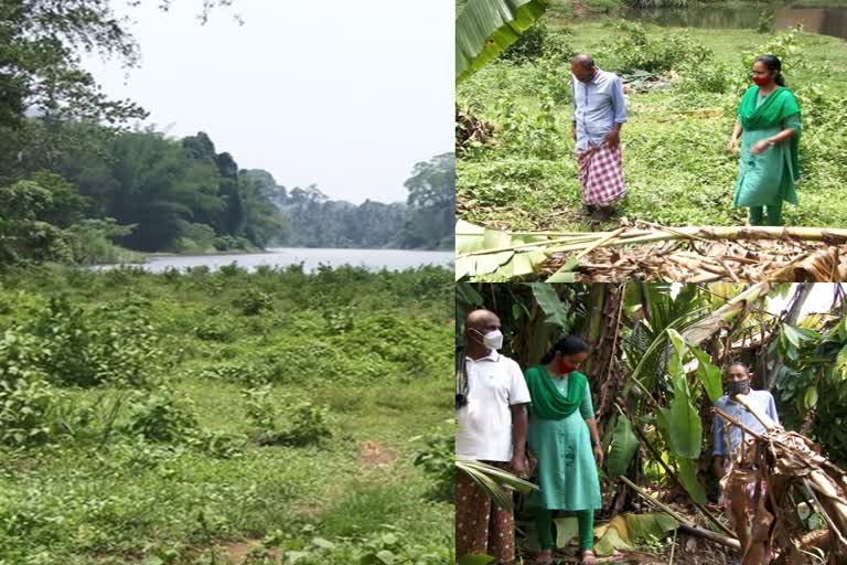 നേര്യമംഗലം  ജനവാസ മേഖലകളിൽ കാട്ടാന ഇറങ്ങി  വൻ കൃഷിനാശം  Neryamangalam  wild elephants  എറണാകുളം