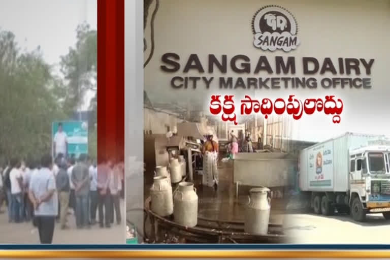 sangam dairy