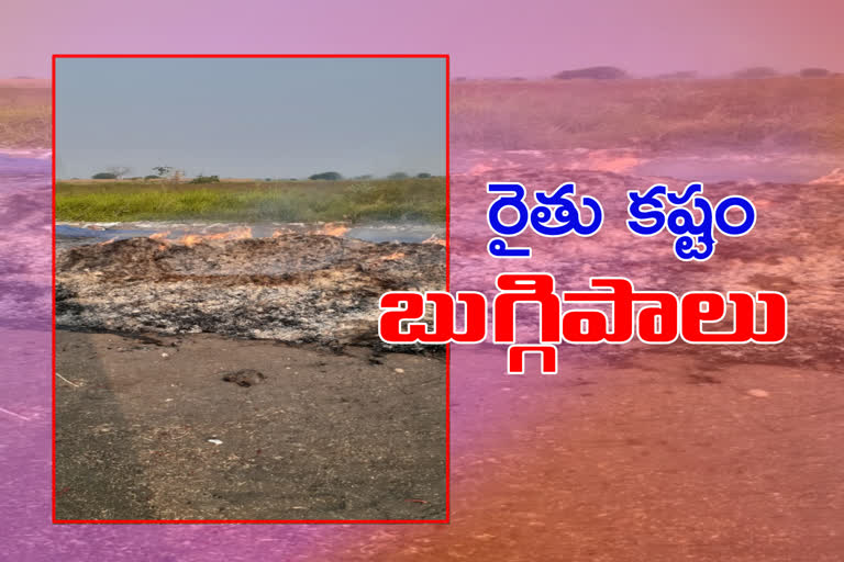 fire accident to mirchi crop in irukupalem guntur district