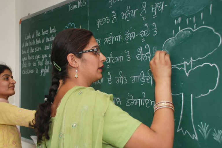 chandigarh teacher no out of town