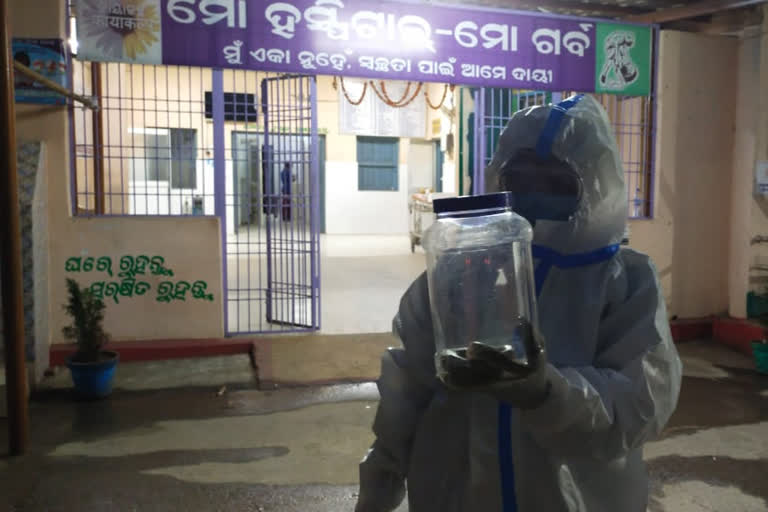 3-feet-long-snake-rescued-from the ward of Covid Hospital