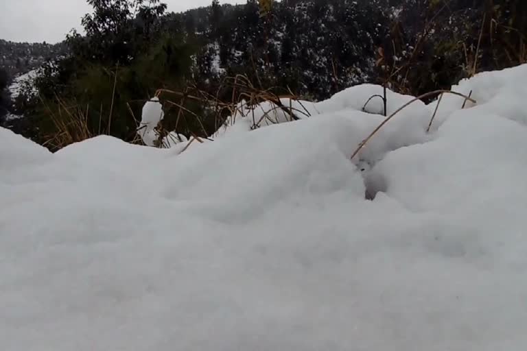 Farm damage due to unseasonal snowfall and hail