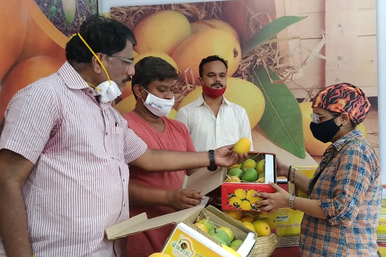 original hapus mango in thane