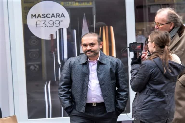 nirav modi filed an appeal in uk high Court to challenge extradition  Fugitive diamond dealer Nirav Modi  Punjab National Bank  Nirav Modi extradition news  pnb scam news  pnb scam nirav modi news  നീരവ് മോദി വാര്‍ത്ത  നീരവ് മോദി news