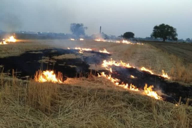 Wheat crop caught fire