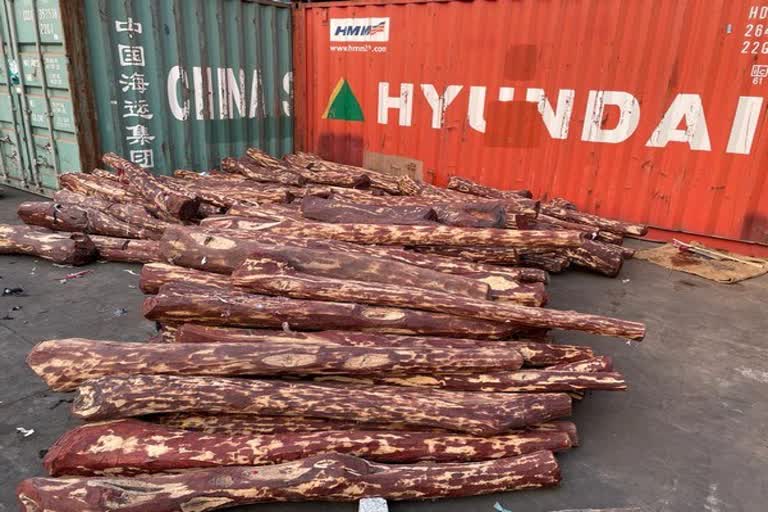 Red sanders worth Rs 5 crore seized at Chennai port