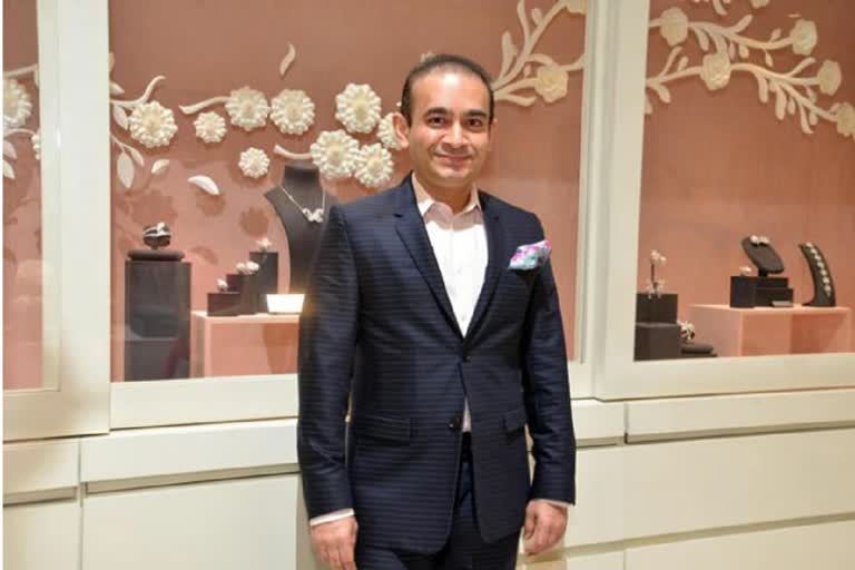 Nirav Modi