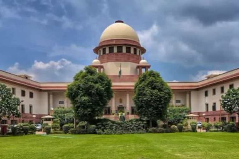 apex court allows up panchayat elections counting