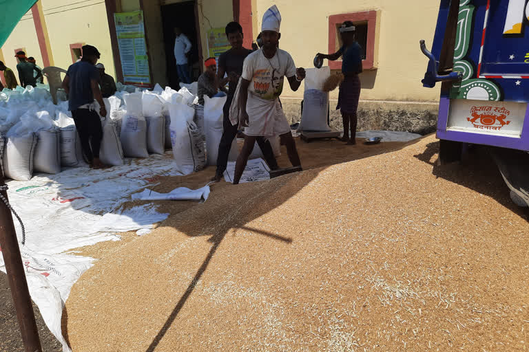 only fifty percent farmers sell their wheat in paddy procurement center in jhabua