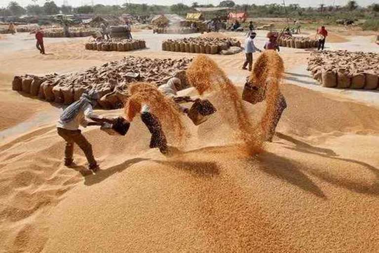 गेहूं क्रय केंद्र