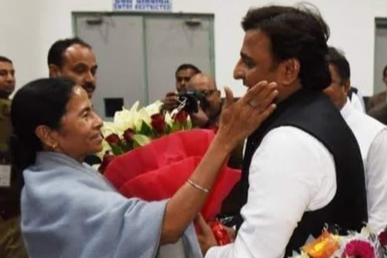 Bengal Election Result 2021: akhilesh yadav congratulates mamata banerjee as trend shows tmc sweep in bengal