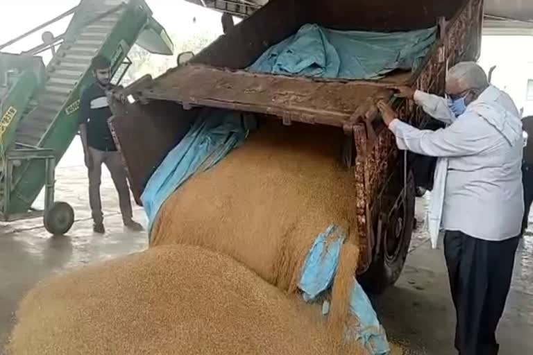 open-grain-market-in-nalagarh