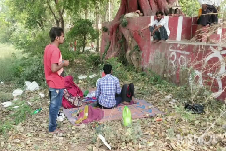 UP: People lie under the peepal tree in the hope of oxygen