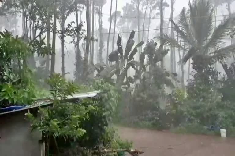 monsoon-rain-started-in-kodagu