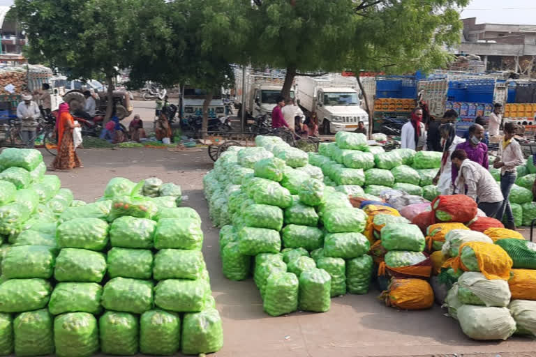 Jaipur Hindi Newsmuhana market jaipur, राजस्थान में कुल कोरोना केस  ,