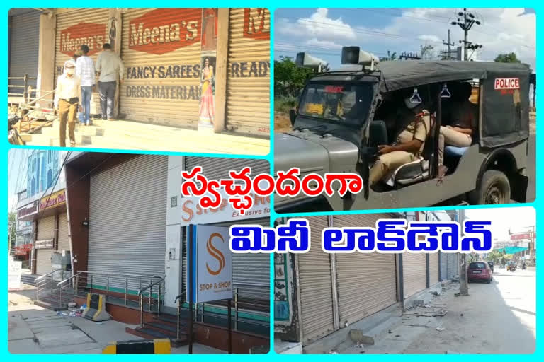 mini-lock-down-conducted-in andhrapradhesh