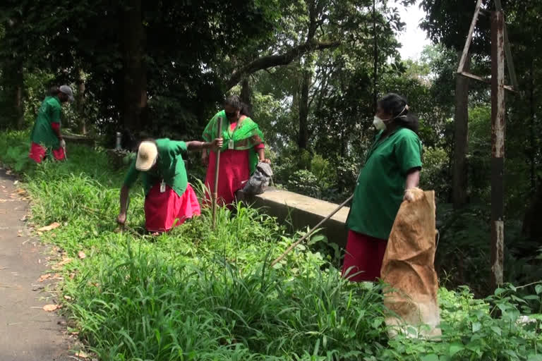 ഹരിത കര്‍മ്മസേന  ശുചീകരണ പ്രവര്‍ത്തനങ്ങള്‍  പള്ളിവാസല്‍ ഗ്രാമപഞ്ചായത്ത്  മഴക്കാലപൂര്‍വ്വ ശുചീകരണപ്രവര്‍ത്തനം  CLEANING PALLIVASAL  Pallivasal Grama Panchayat activates cleaning activities