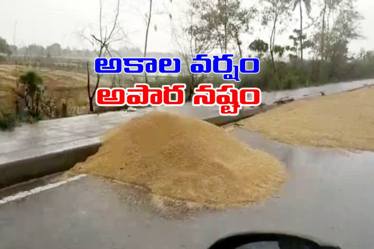 nizamabad collector narayana reddy, narayana reddy latest news