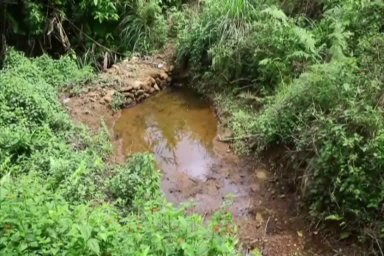 forest  കാസര്‍കോട്  Kasargode  Ranipuram forest  ഇക്കോ ടൂറിസം കേന്ദ്രം  തെളിനീരുറവ  forest pool