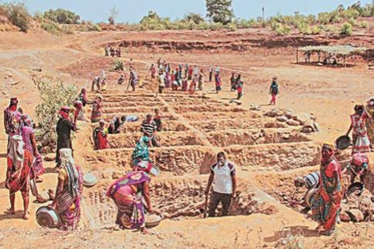 40 thousand laborers got employment under MGNREGA in Balrampur