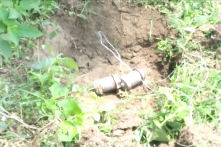 bomb recover in rejinagar murshidabad