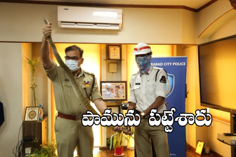 snakes catched by traffic constable venkatesh