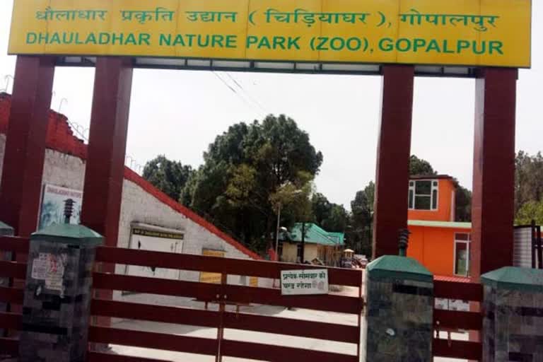 animal-sanctuary-is-closed-in-himachal-due-to-corna-virus