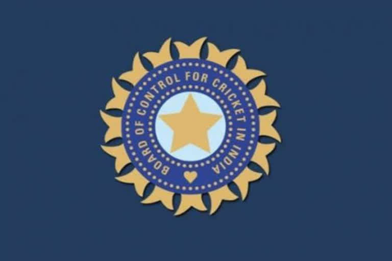 a-public-interest-litigation-was-filed-in-the-bombay-high-court-against-the-bcci