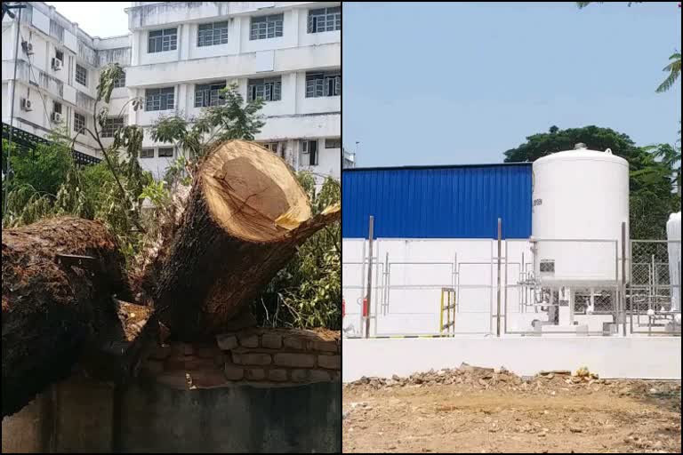 Tree cutted down for oxygen plant construction