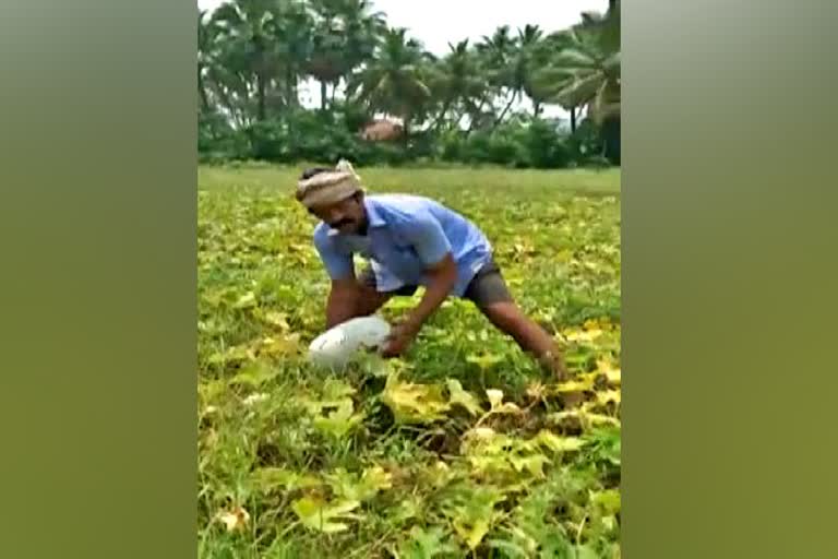 farmer facing problem for selling the crop