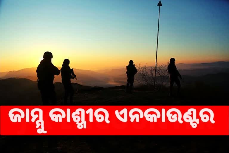 ଜାମ୍ମୁ-କାଶ୍ମୀରର ସୋପିଆନାରେ ଗୁଳିବନିମୟ