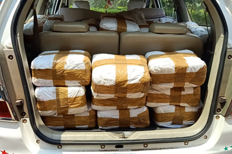 125-kg-ganja-seized-in-koraput-while-two-people-arrested