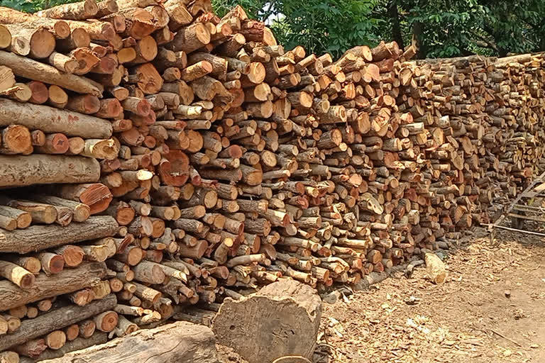 Woods no shortage, Woods no shortage to cremation, Woods no shortage to cremation in Belagavi, Belagavi news, Belagavi corona news, ಶವಸಂಸ್ಕಾರಕ್ಕೆ ಬಳಸುವ ಕಟ್ಟಿಗೆಗೆ ಎದುರಾಗಿಲ್ಲ ಅಭಾವ, ಬೆಳಗಾವಿಯಲ್ಲಿ ಶವಸಂಸ್ಕಾರಕ್ಕೆ ಬಳಸುವ ಕಟ್ಟಿಗೆಗೆ ಎದುರಾಗಿಲ್ಲ ಅಭಾವ, ಬೆಳಗಾವಿ ಸುದ್ದಿ, ಬೆಳಗಾವಿ ಕೊರೊನಾ ಸುದ್ದಿ,