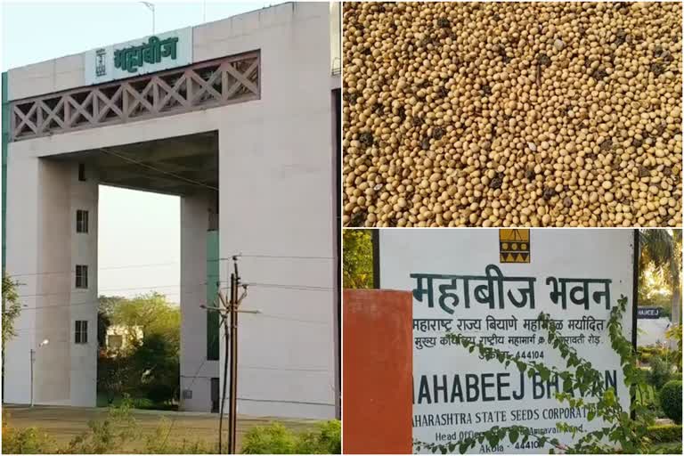 Mahabeej soybean seed unchanged prices