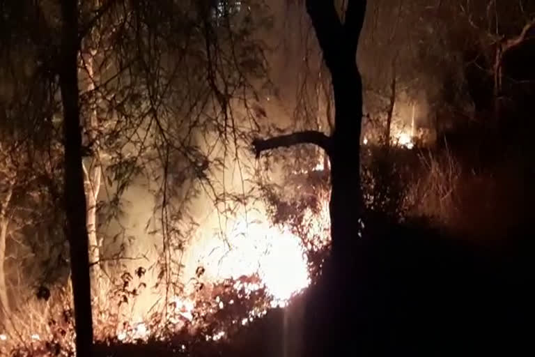 श्यामपुरा जंगल में लगी आग, Shyampura forest fire