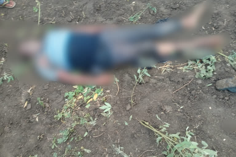 yavatmal Farmer dies