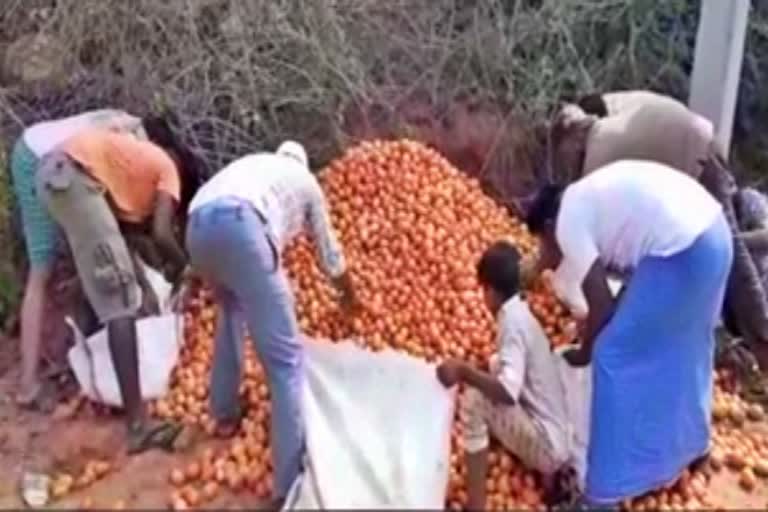 Framers Throw Tomato On Road