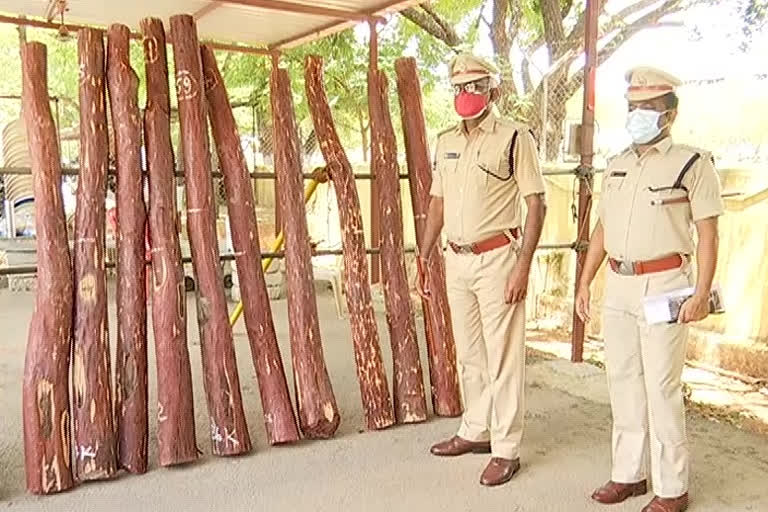 Six smugglers arrested for moving illegal red sandalwood