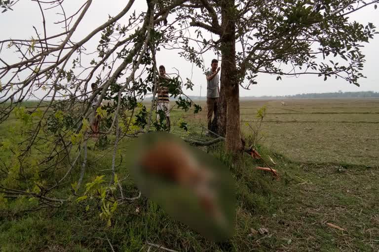 thunderstrom-in-kampur-amarabati