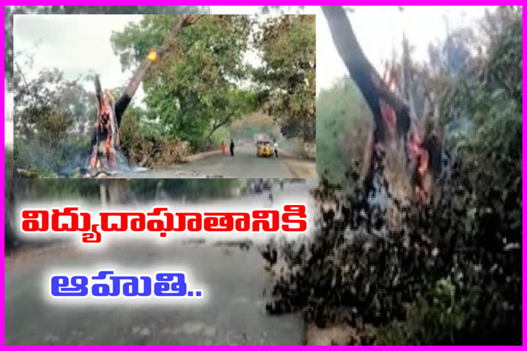 ట్రాన్స్​ఫార్మర్​లో అగ్నిప్రమాదం.. మంటలు చెలరేగి బూడిదైన చెట్టు