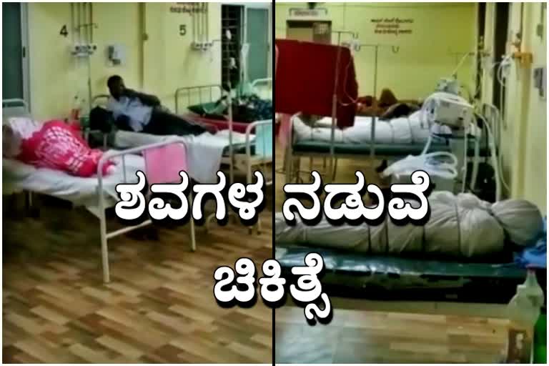 Covid dead bodies in Corona patients ward in Mandya