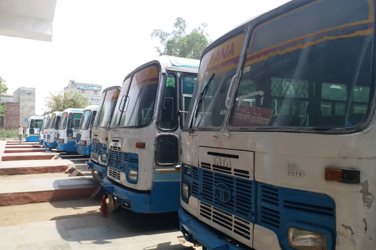 Gohana roadways depot is losing 6 lakh rupees daily due to lockdown